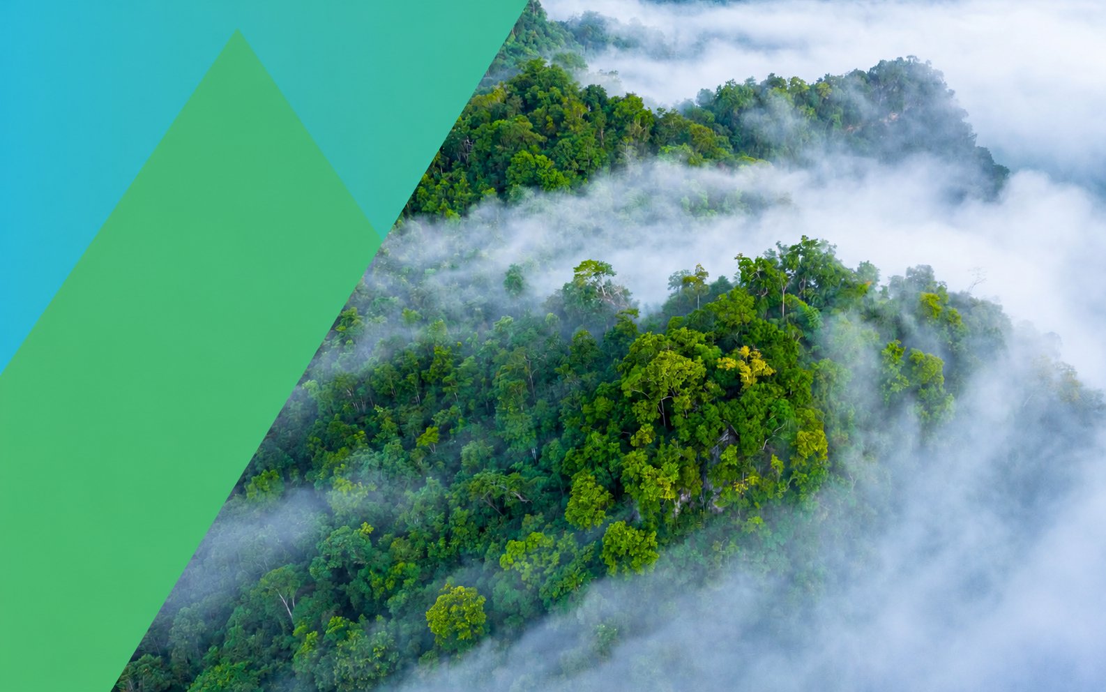 Misty rainforest seen from above, with a blue and green African Climate Wire graphic