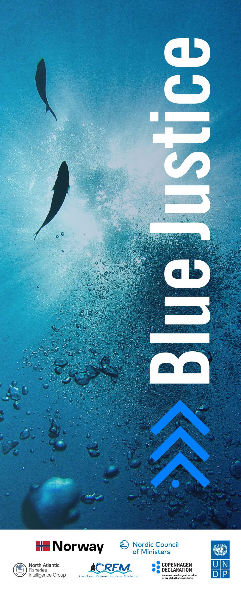 A tall Blue Justice roll-up with the name set vertically over underwater photography