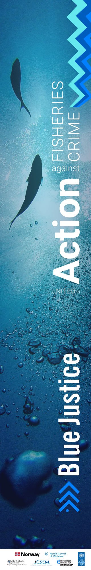 A vertical Blue Justice Conference 2025 web banner