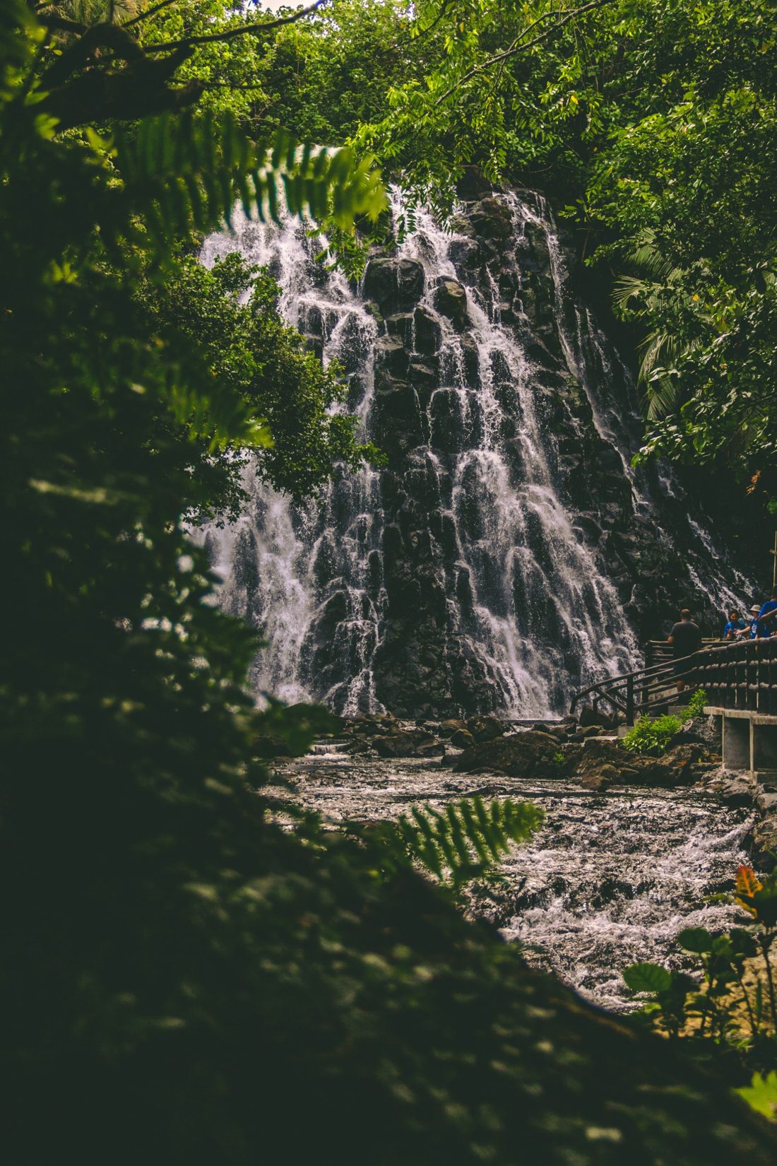 A waterfall over dark rock in tropical forest