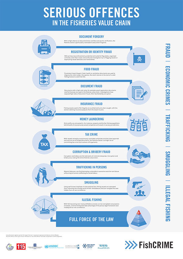 An infographic of serious offences in the fisheries value chain