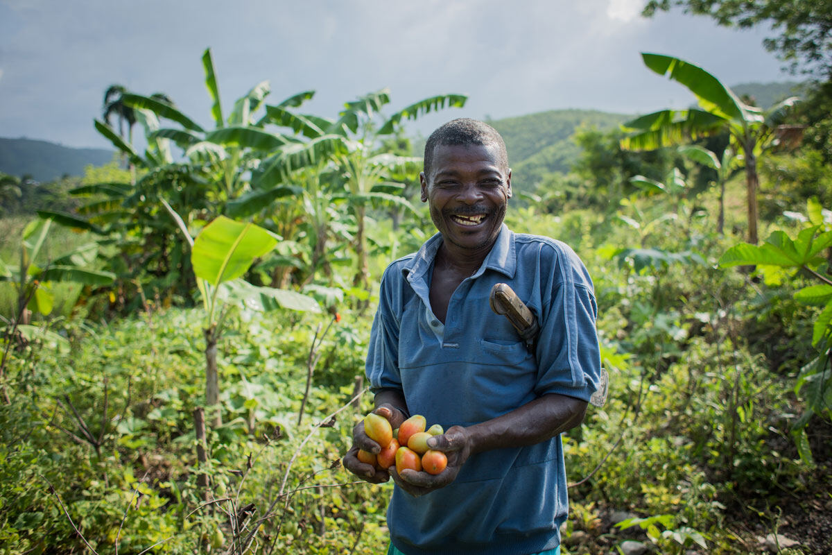 A farmer holding freshly picked fruit in a green landscape