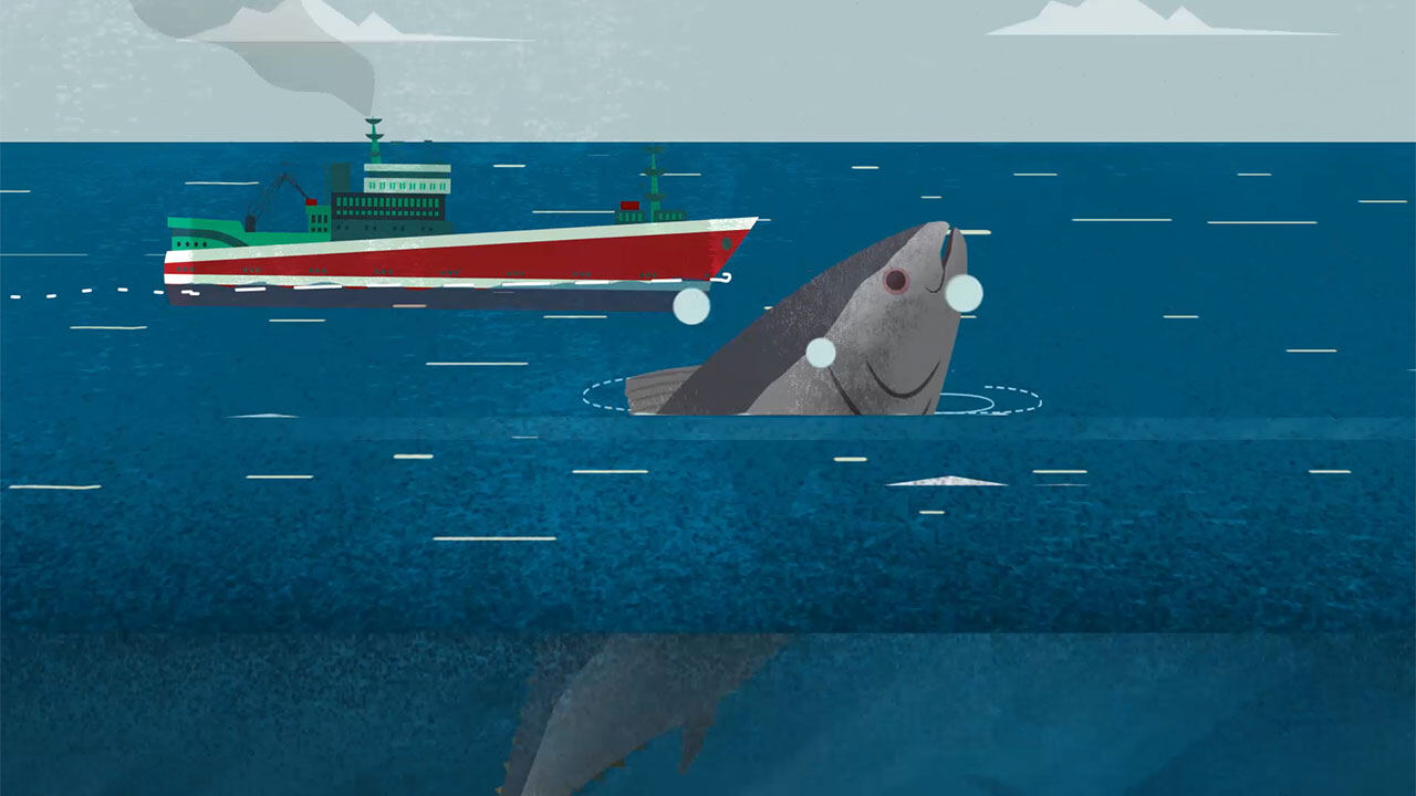 Animation still: a fishing vessel and a shark at sea