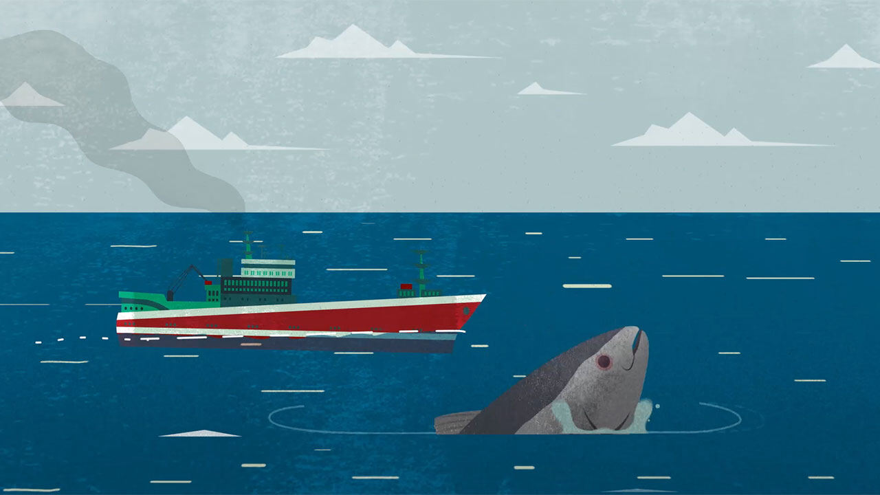 Animation still: a fishing vessel and a shark at sea