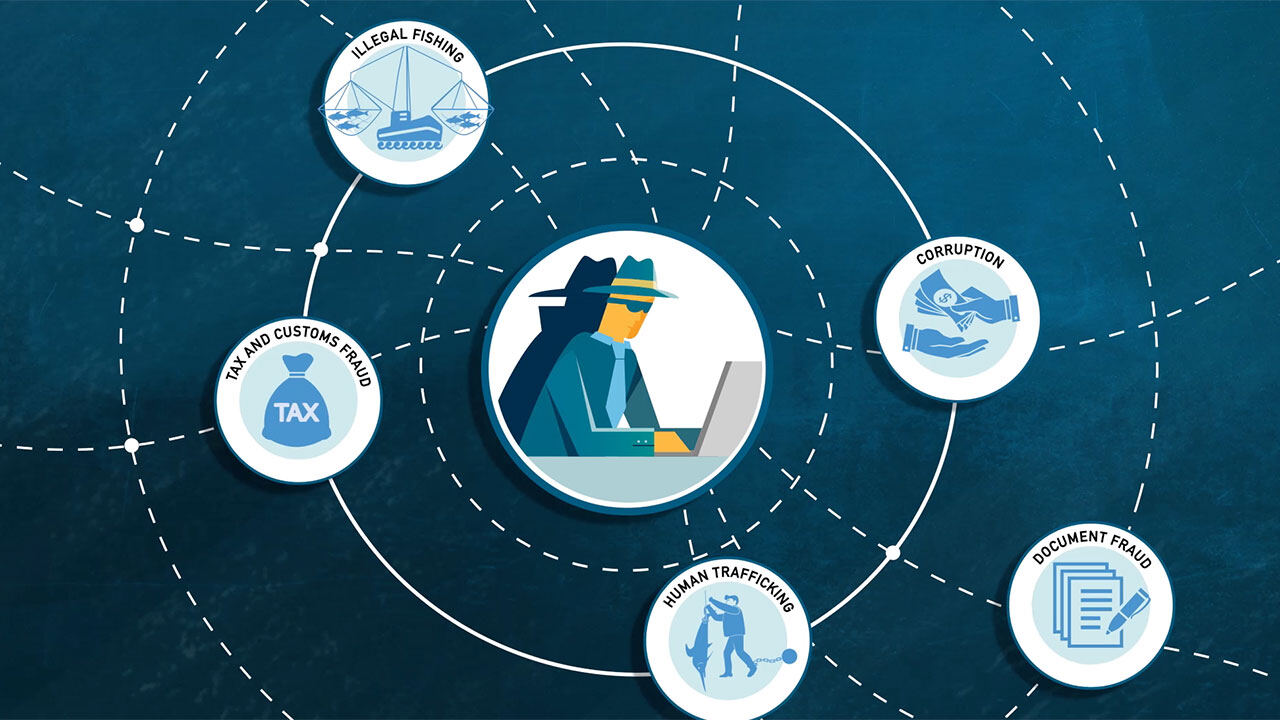 Animation still: the crimes that target fisheries, from illegal fishing to tax fraud, corruption, document fraud and human trafficking