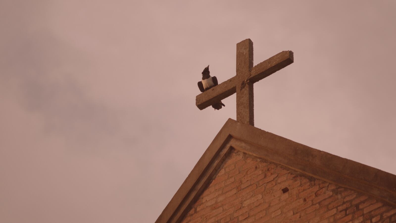 A bird perched on a cross against a hazy sky