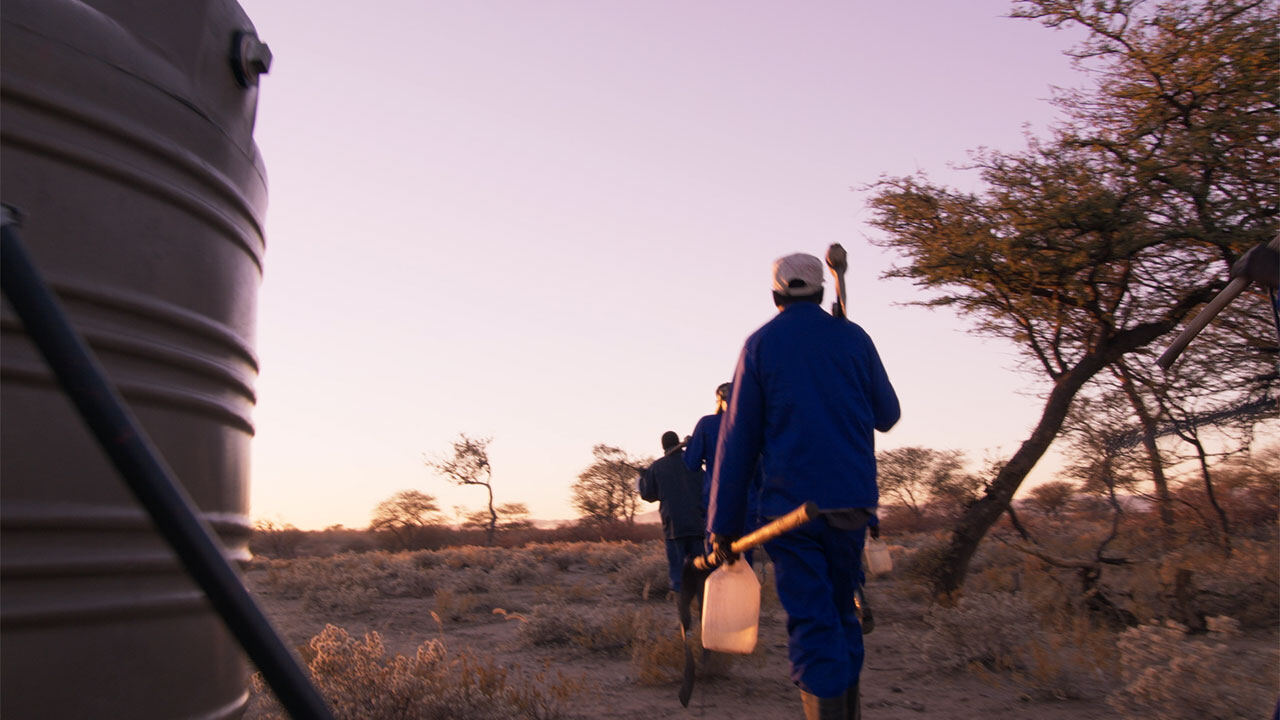 Workers in blue overalls walking through the Namibian bush at dusk