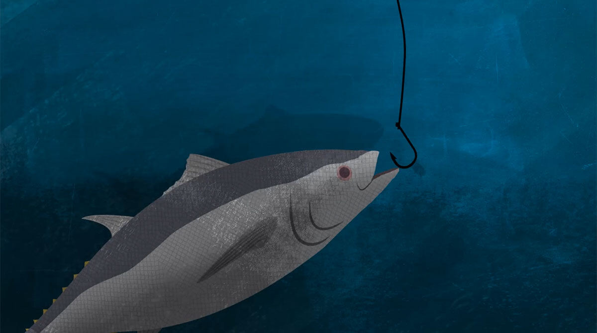 Animation still: a tuna caught on a hook
