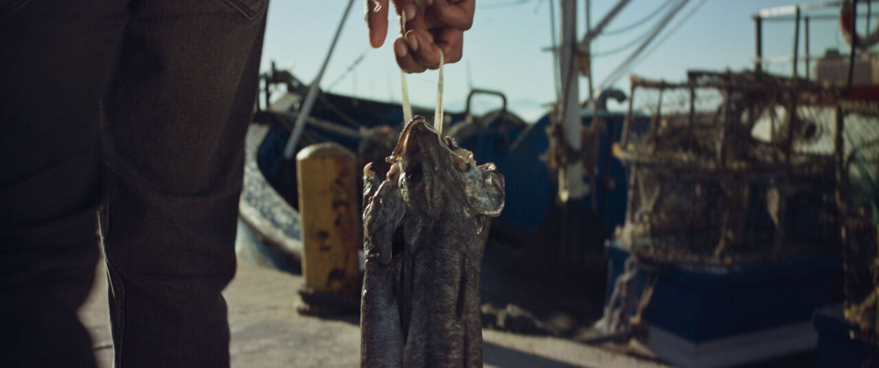 A fish hanging by its tail beside lobster traps